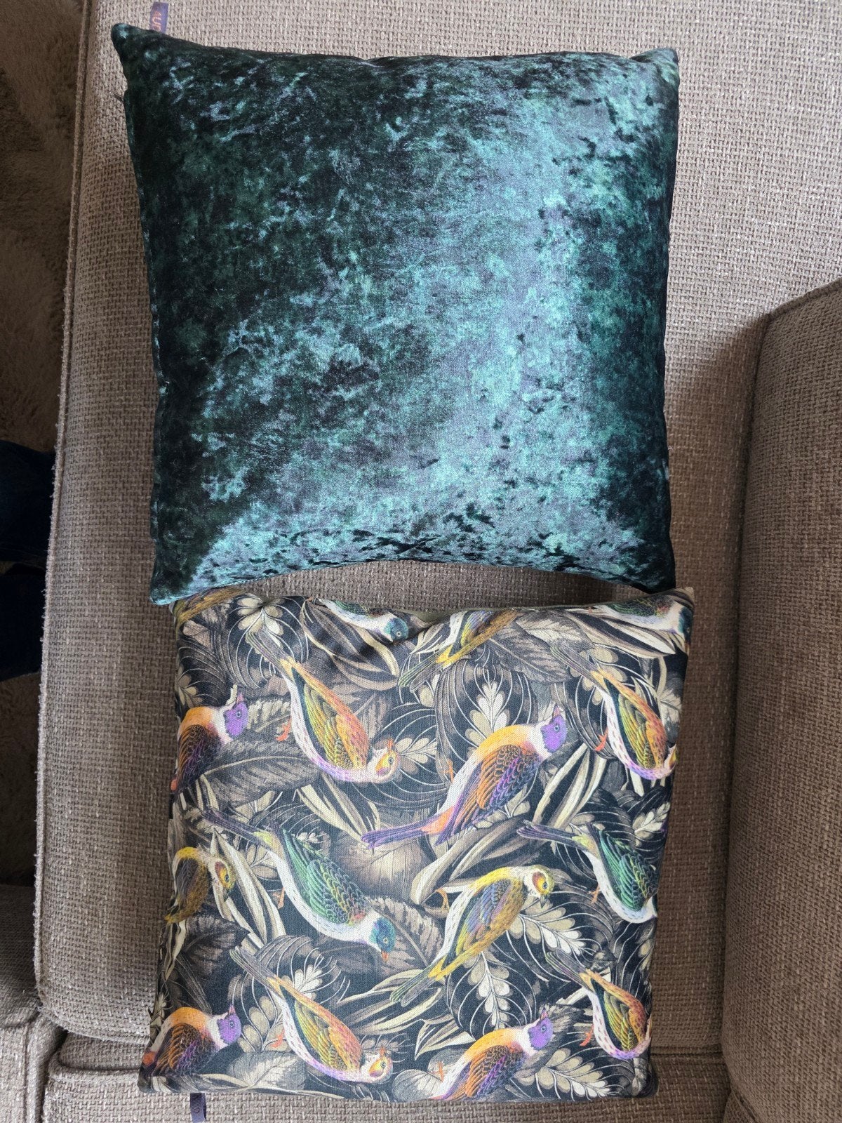 Twee Claudi sierkussens met vogelprint en groen fluweel, Ophalen, Overige merken, Meerkleurig, Met print