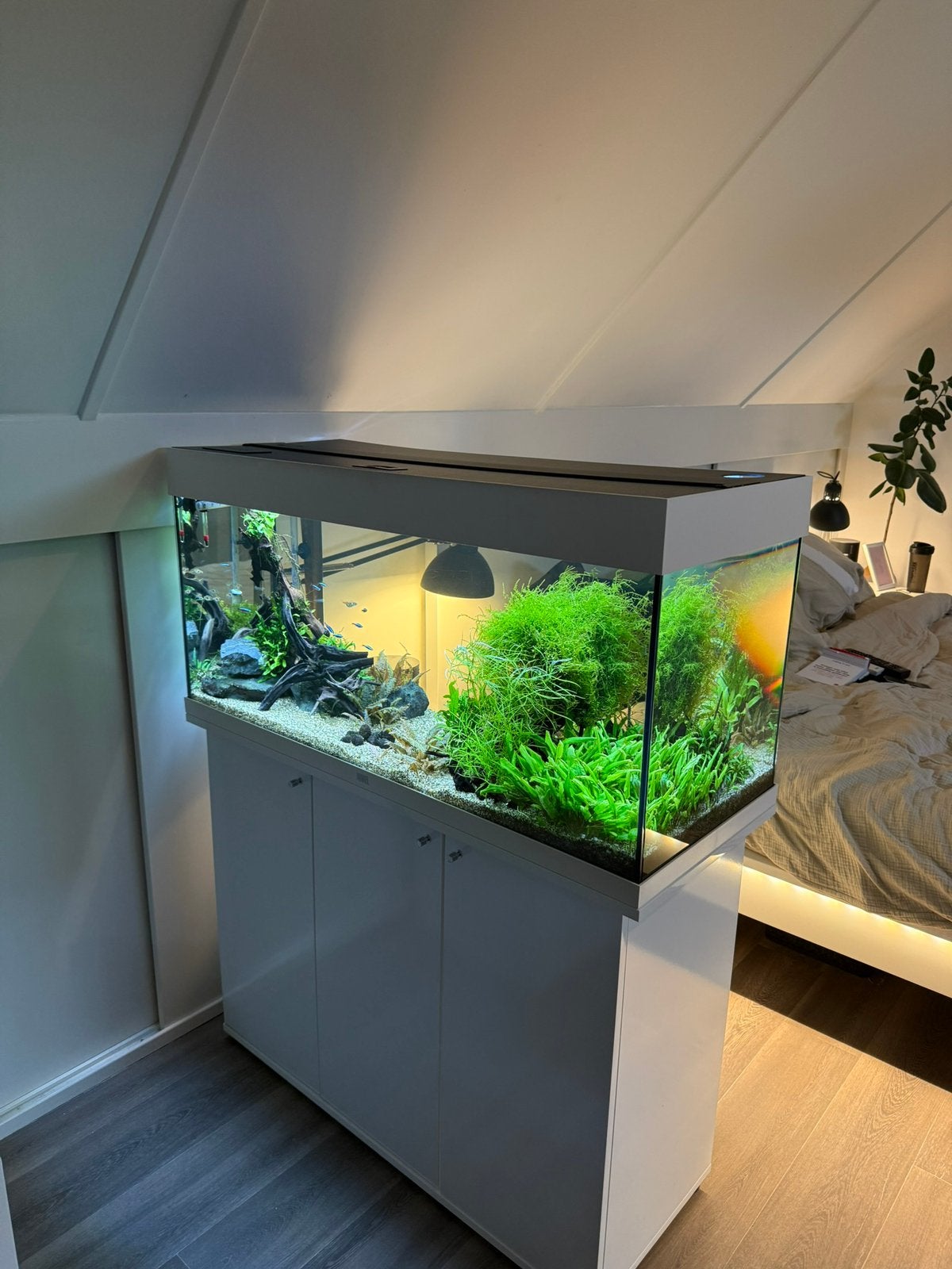 Juwel Rio 180 aquarium met vissen, extern filter en spullen, Dieren en Toebehoren, Ophalen, Pomp, Juwel, Gevuld zoetwateraquarium