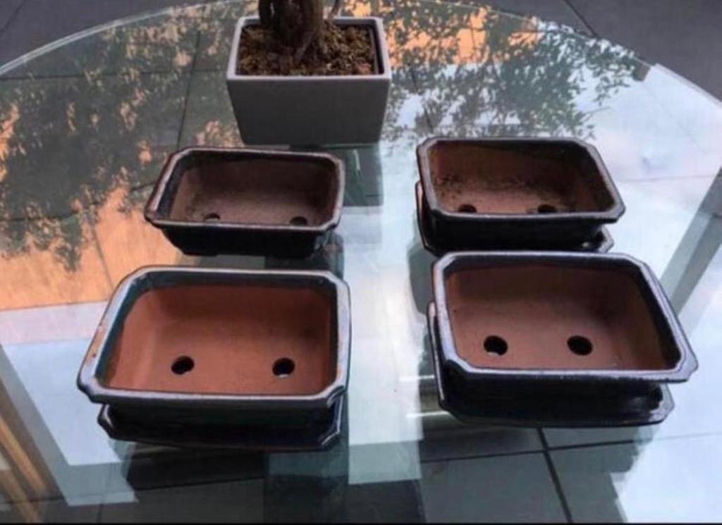 Nieuwe en gebruikte geglazuurde bonsai bloempotten, Tuin en Terras, Bloempotten, Binnen, Ophalen of Verzenden, Zo goed als nieuw