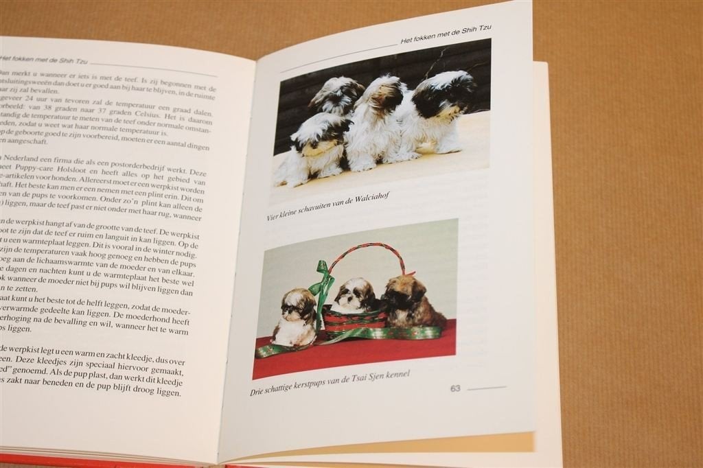 De Shih Tzu als Gezelschapsdier — 1e Druk Rashandboek 1993, Ophalen of Verzenden, Gelezen