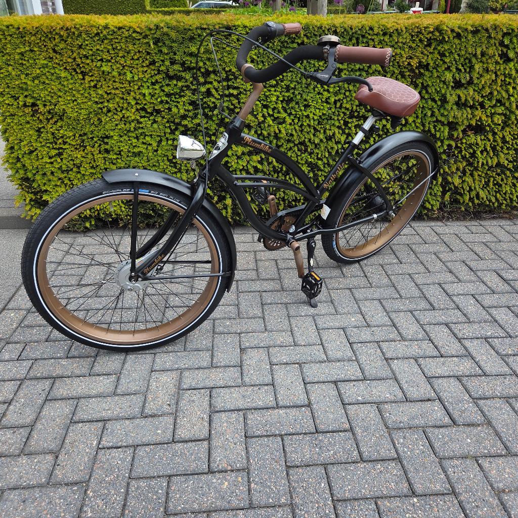 Blikvanger! Plumbike Designfiets – Volledig gereviseerd!, Ophalen, Plumbike, Cruiser, Aluminium