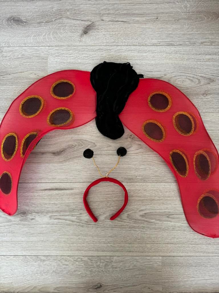 Verkleedkleding lieveheerstbeestje, Ophalen, Jongen of Meisje