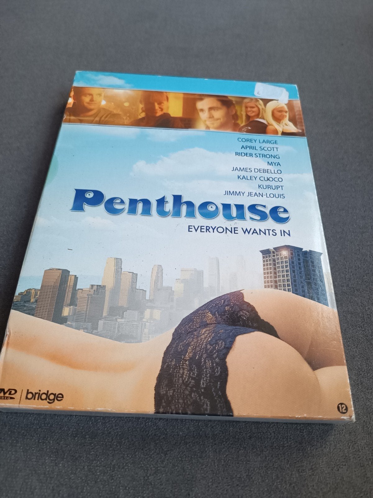 Penthouse - dvd, Alle leeftijden, Ophalen of Verzenden, Zo goed als nieuw, Overige gebieden