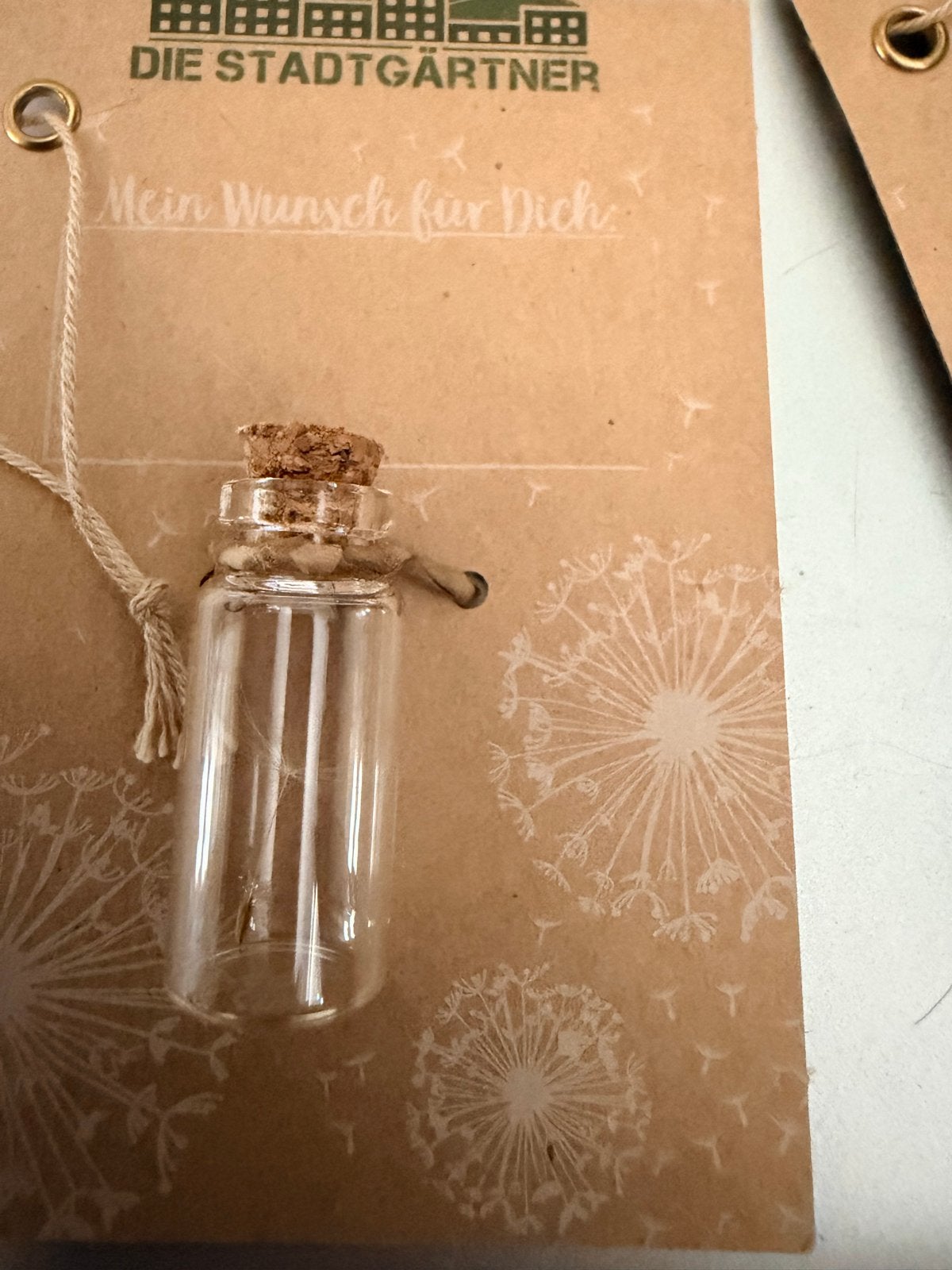 7 blaasbloemen mini, Ophalen of Verzenden, Nieuw
