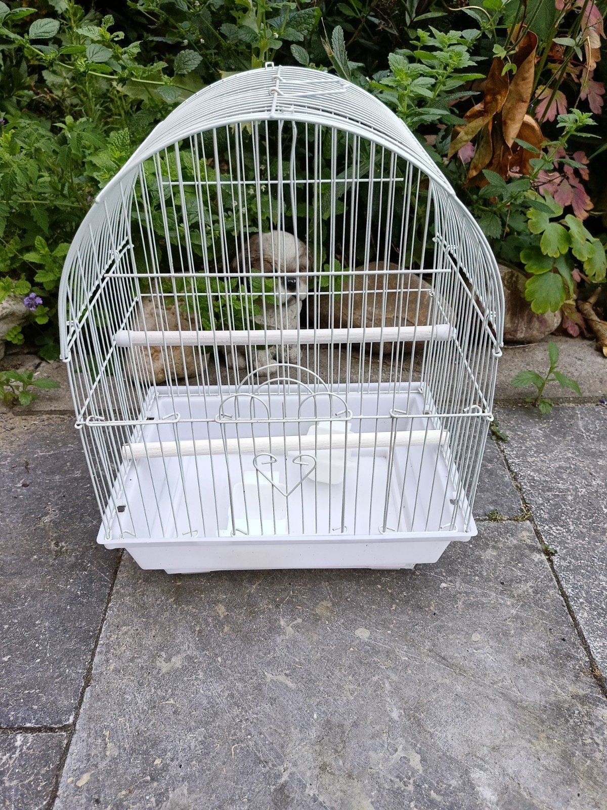 Vogelkooi, Dieren en Toebehoren, Vogels | Hokken en Kooien, Ophalen, Zo goed als nieuw, Metaal, Vogelkooi