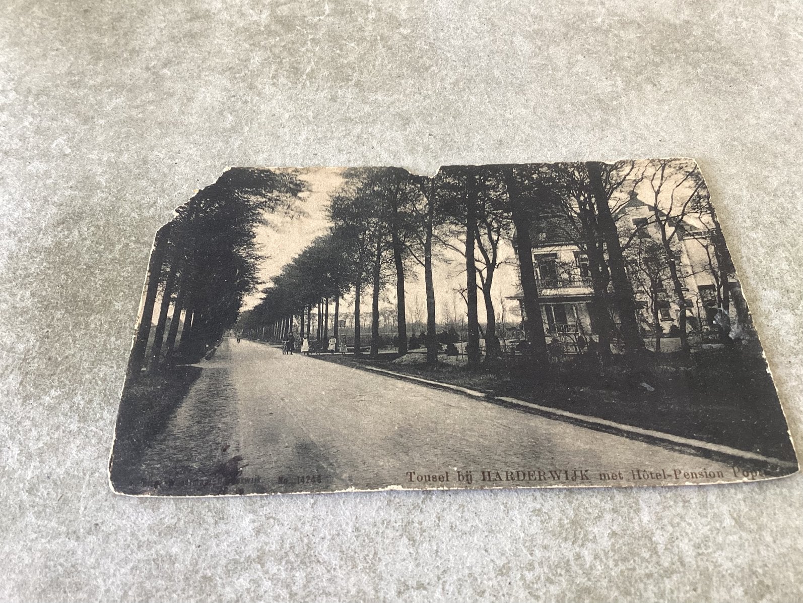 Tousel bij Harderwijk.   Hotel Pension Poptie  1906, Verzamelen, Ansichtkaarten | Nederland, Ophalen of Verzenden, Voor 1920, Gelderland