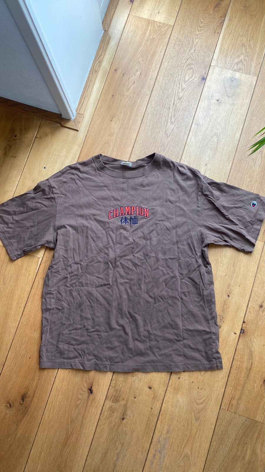 Nike Parlez Champion tshirt xl, Kleding | Heren, T-shirts, Ophalen of Verzenden, Gedragen, Maat 56/58 (XL)