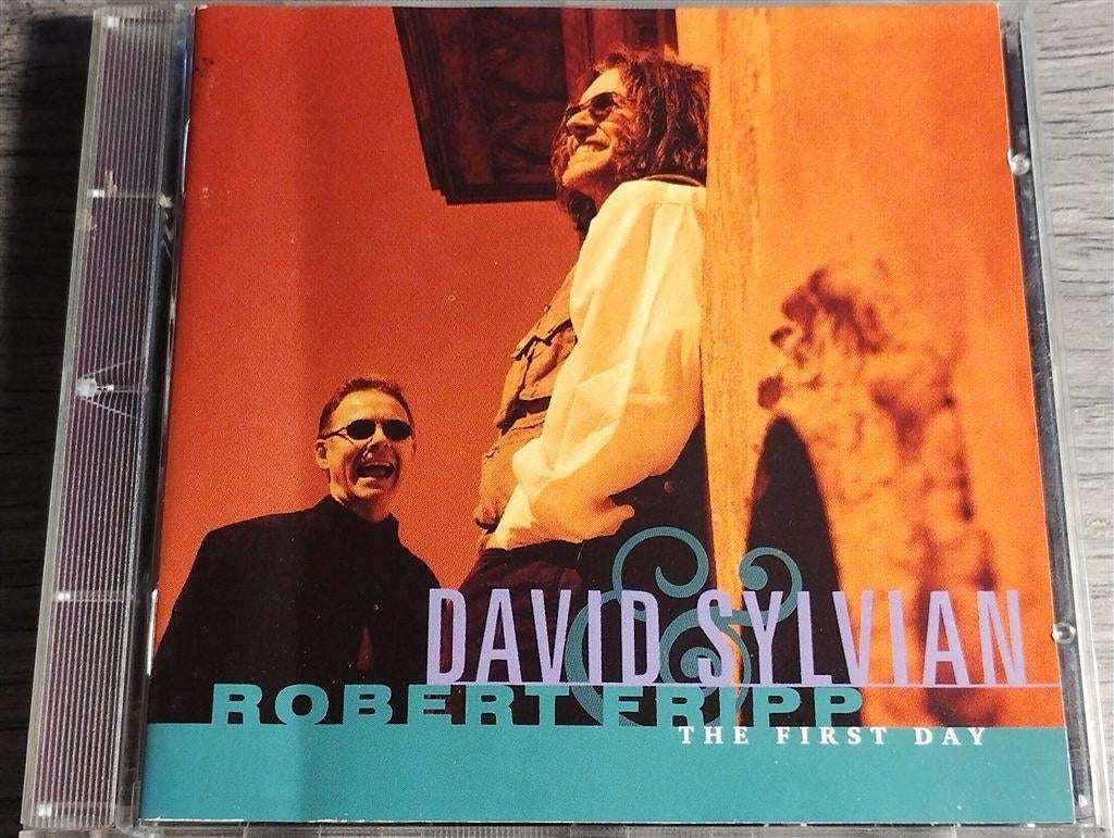 David Sylvian & Robert Fripp ‎– The First Day, Ophalen of Verzenden, Zo goed als nieuw