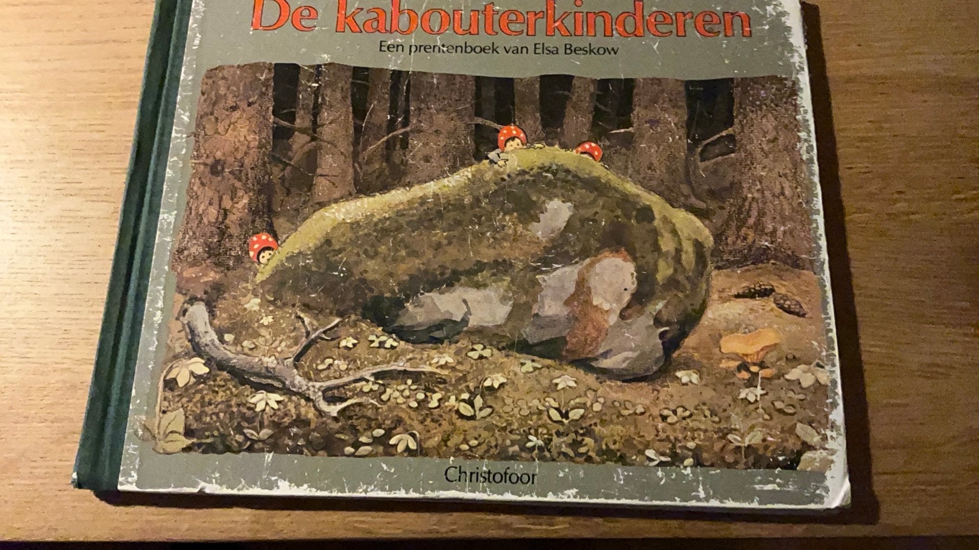 De Kabouterkinderen Elsa Beskow, Ophalen of Verzenden, Gelezen, Prentenboek