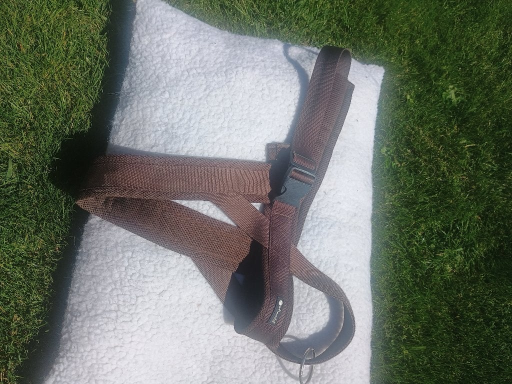 Te koop groot Petlando honden tuig, Dieren en Toebehoren, Overige merken, Ophalen of Verzenden, Gebruikt, Hondentuig