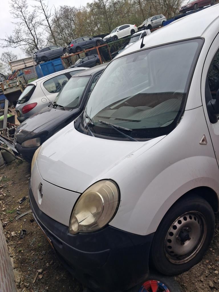 Renault kangoo 2009 wit alle plaatwerk, Ophalen of Verzenden, Voor, Renault, Spatbord