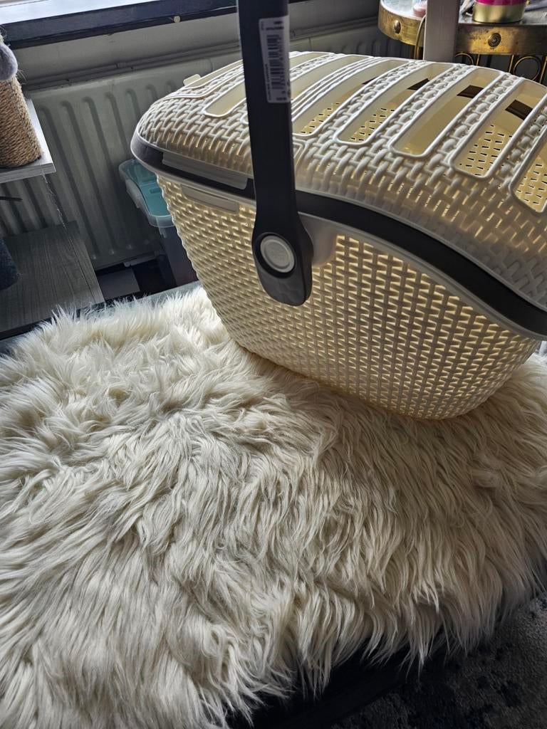 Reismand kat, Dieren en Toebehoren, Katten-accessoires, Ophalen of Verzenden
