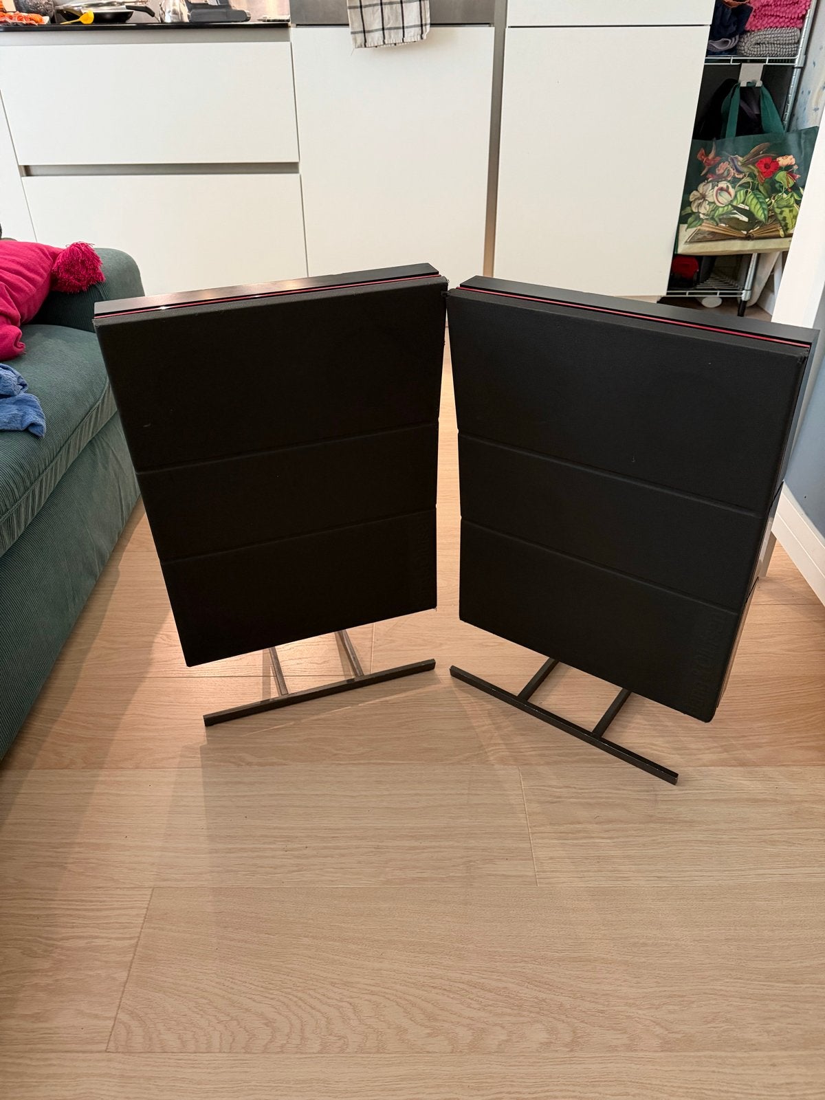 Bang & Olufsen Red Line 60 Speakers - Vintage Design