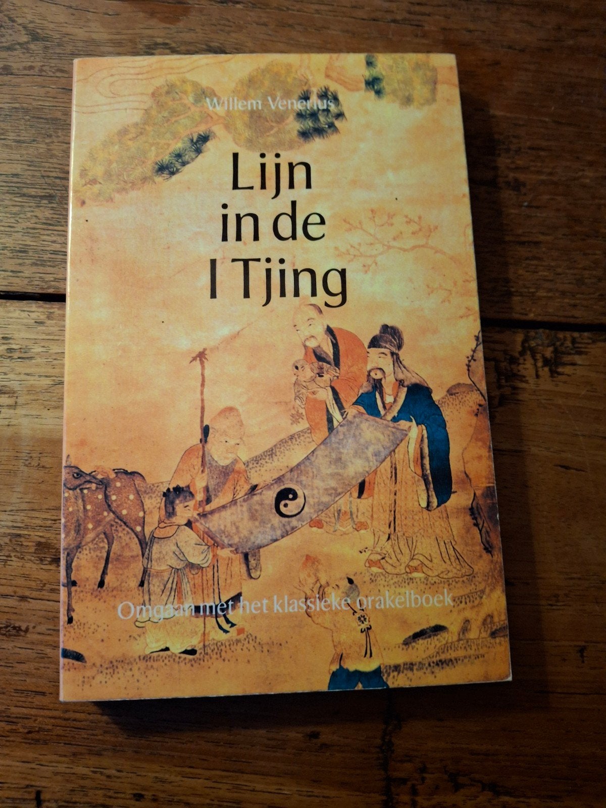 Venerius - Lyn in de i tjing, Boeken, Esoterie en Spiritualiteit, Ophalen of Verzenden, Zo goed als nieuw, Venerius