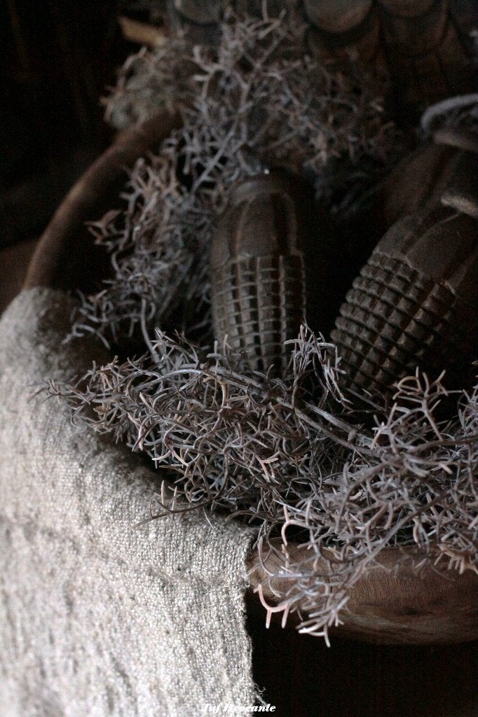 Toef tillandsia grijs/bruin, grijs of groen, Www.jufbrocante.nl, Www.jufbrocante.nl, Nieuw, Ophalen of Verzenden
