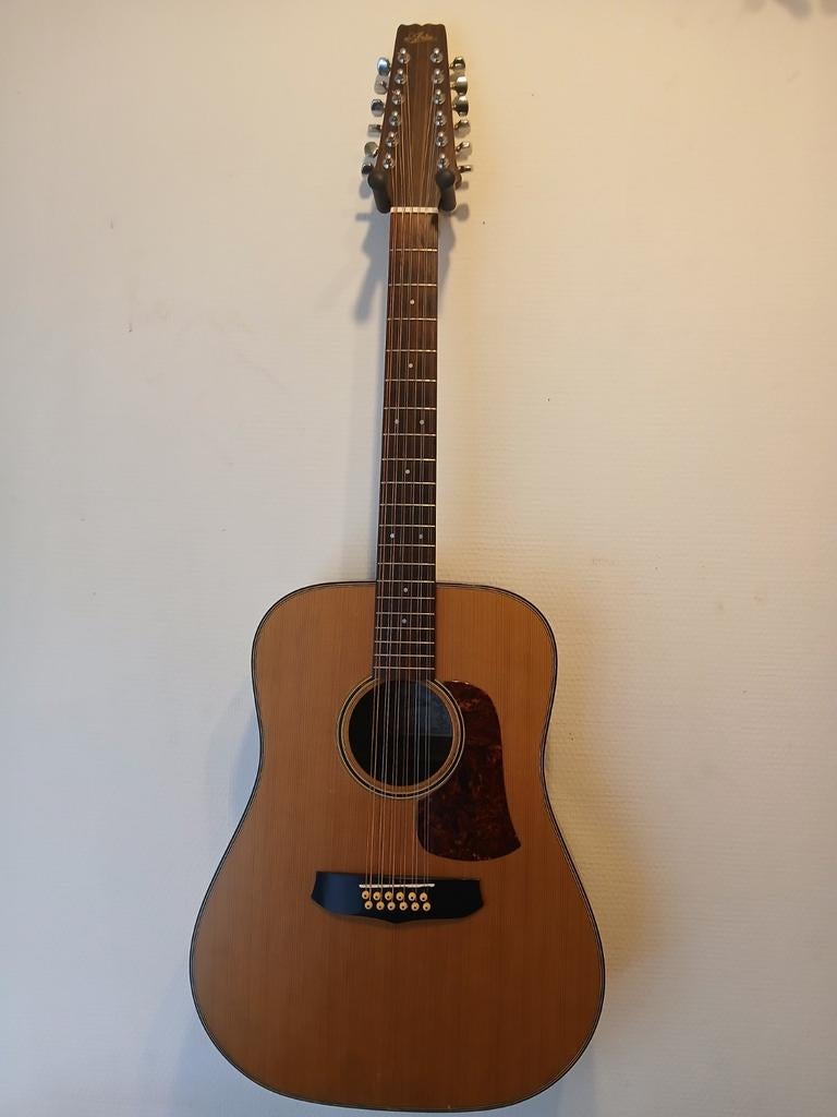 12 snarige Aria SW8T, Muziek en Instrumenten, Ophalen, Western- of Steelstringgitaar