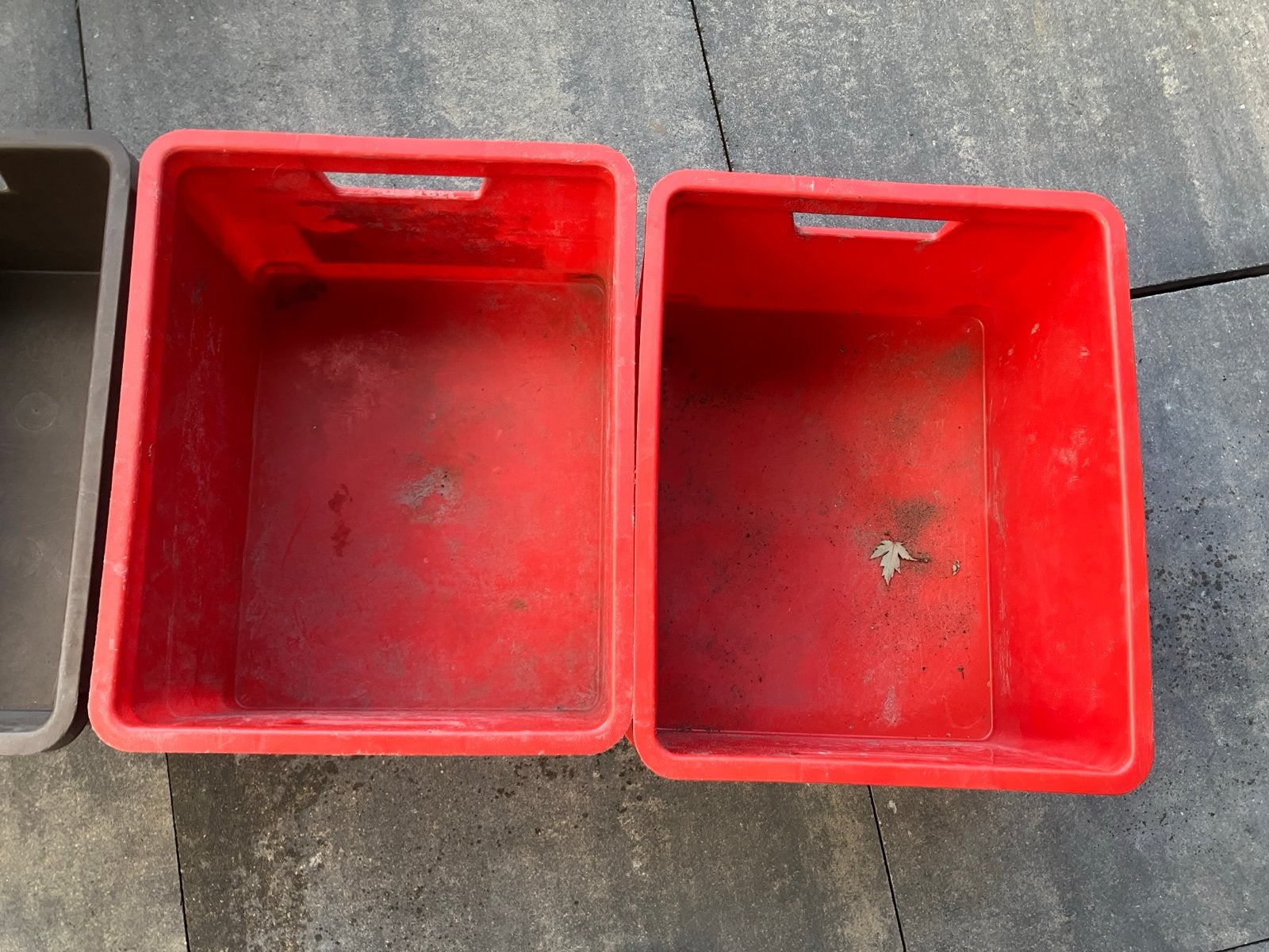 Kunststof bakken - Curver Unibox Large, Ophalen, Gebruikt, 40 tot 60 cm, 50 tot 75 cm