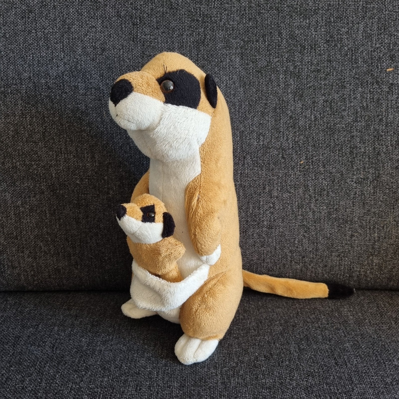 stokstaartje met jong, Ophalen of Verzenden, Overige typen