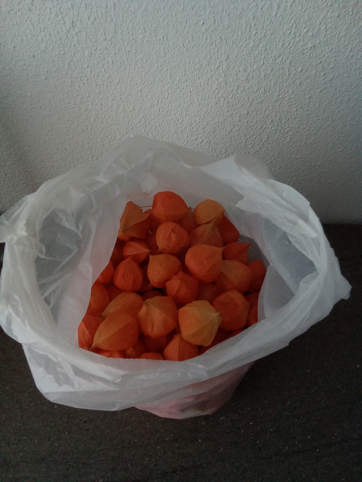 Zak met lampionnetjes voor decoratie of krans, Ophalen, Gebruikt