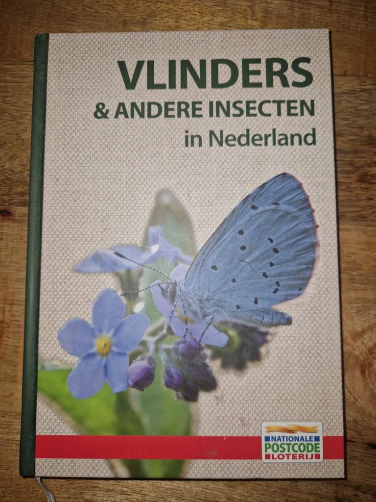 Vlinders & Andere Insecten in Nederland - Natuurgids, Ophalen of Verzenden, Zo goed als nieuw, Natuur algemeen, Onbekend