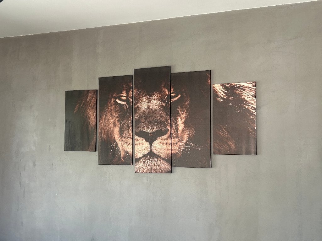 Schilderij 160 x 80 cm, Ophalen