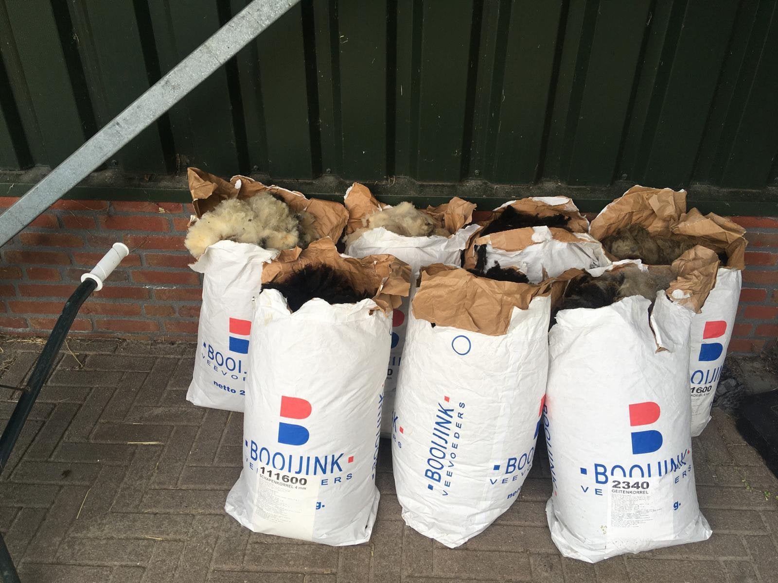 Schapenwol, Dieren en Toebehoren, Schapen, Geiten en Varkens, Meerdere dieren, Schaap