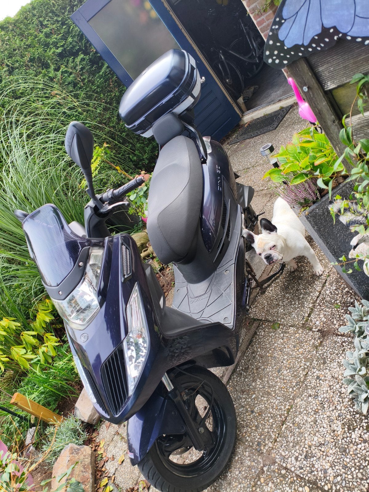Kymco Dink 50 Scooter - Goed onderhouden met topkoffer, Ophalen, Gebruikt, Benzine, Kymco
