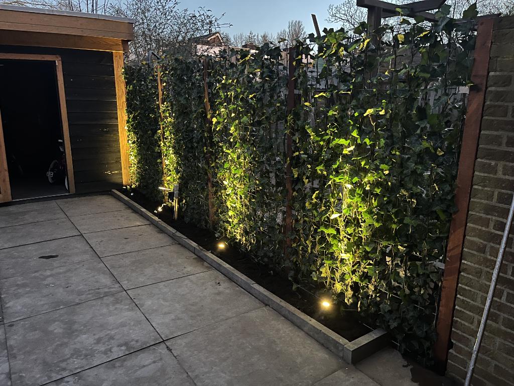 Hedera kant en klaar haag - Hedera schermen - Hedera rek, Vaste plant, Ophalen of Verzenden, Bloeit niet, Halfschaduw