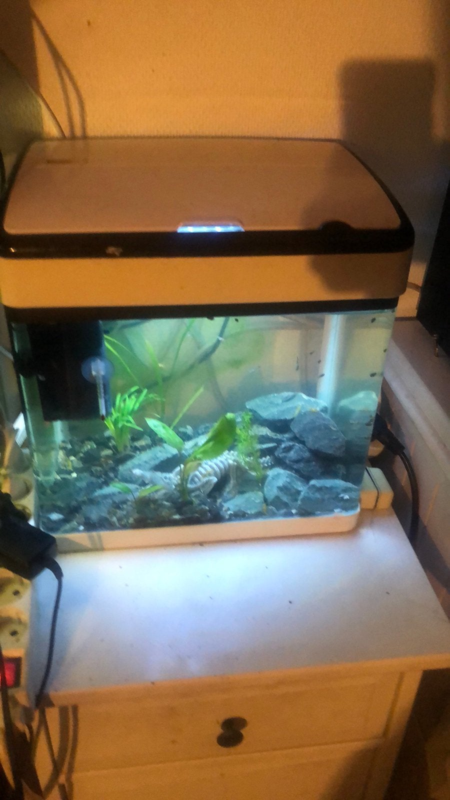 Super Fish aquarium met deksel en verlichting erin, Dieren en Toebehoren, Ophalen of Verzenden, Zo goed als nieuw, Leeg aquarium