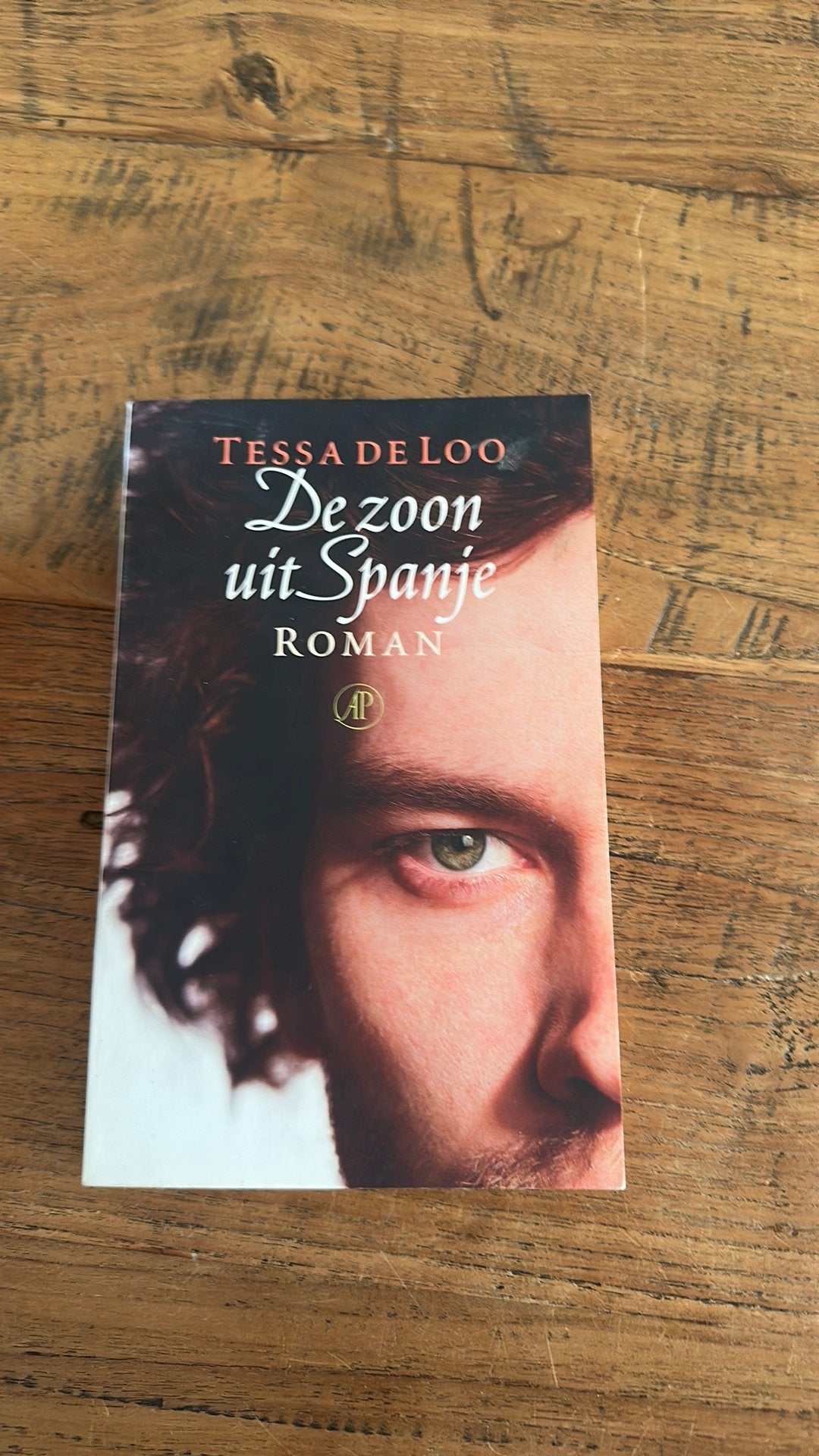 T. de Loo - De zoon uit Spanje, Ophalen of Verzenden, Zo goed als nieuw, T. de Loo