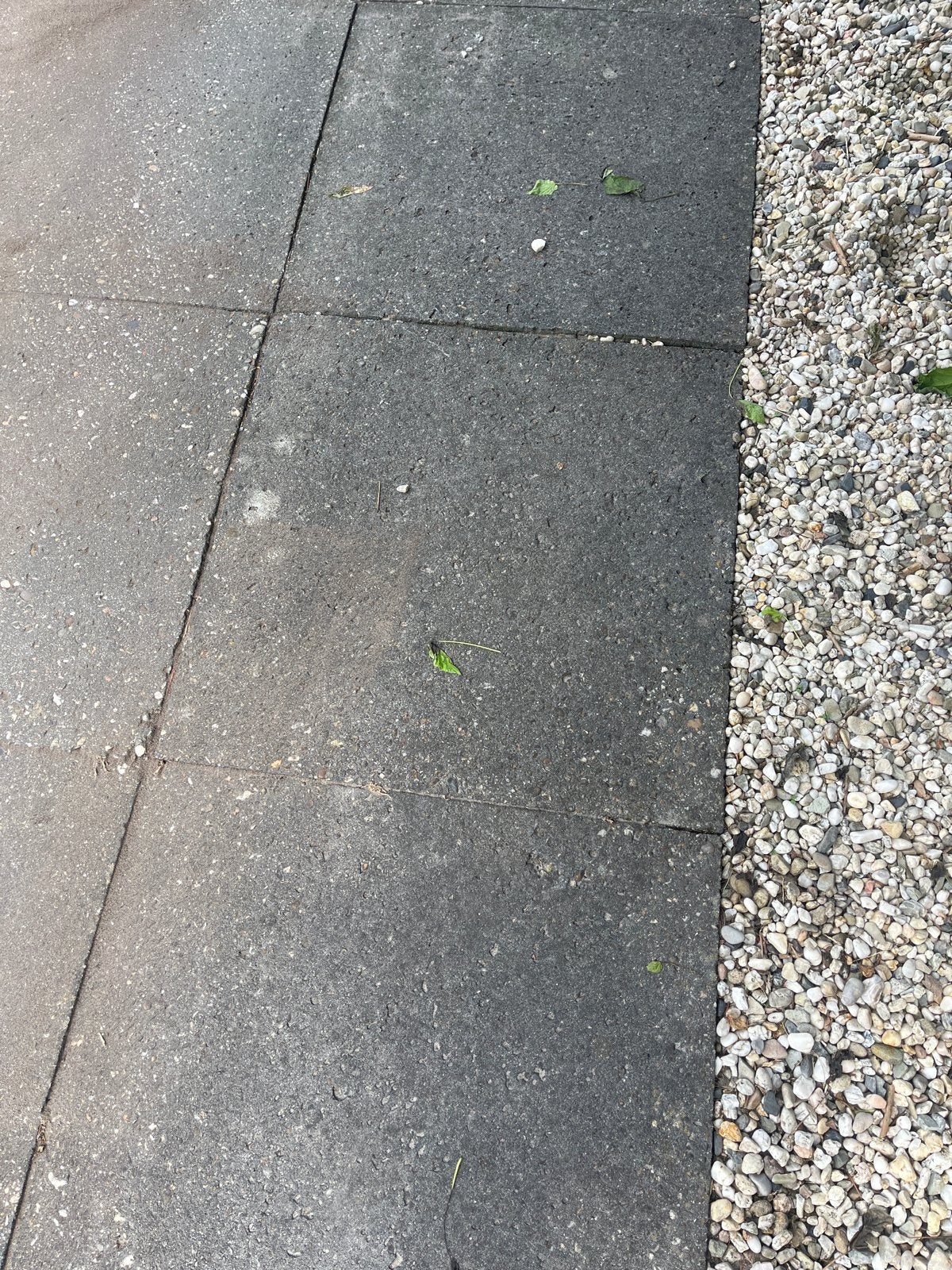 45 grijze betontegels 60x60x4,5cm, Ophalen, Gebruikt, 10 m² of meer, Beton