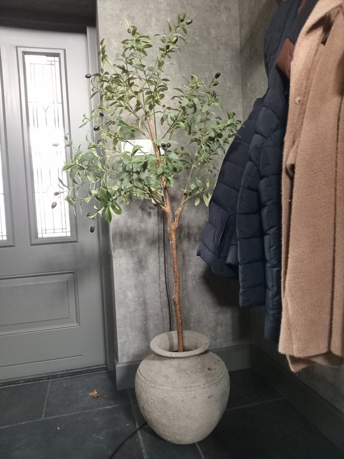 stenen kruik pot met olijfboompje, Ophalen, Zo goed als nieuw
