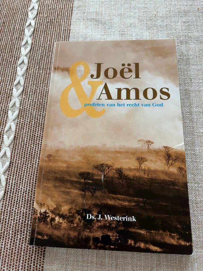 Joël & Amos profeten van het recht van God, Ophalen of Verzenden, Gelezen, Christendom | Protestants