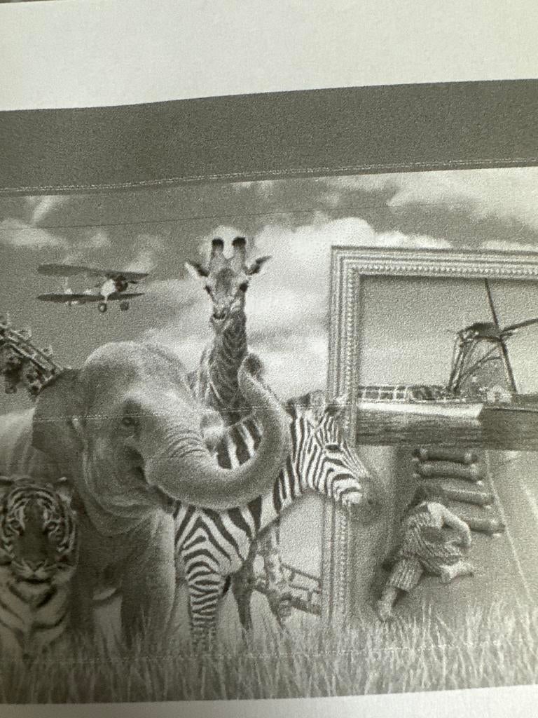 Vier toegangskaarten voor Wildlands zoo Emmen., Tickets en Kaartjes, Drie personen of meer, Ticket of Toegangskaart