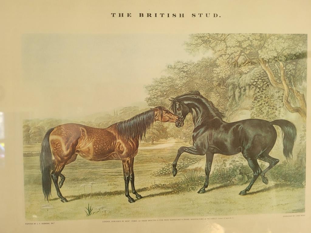 "The British Stud",  van J.F. Herring Sr., Antiek en Kunst, Ophalen of Verzenden, Overige thema's