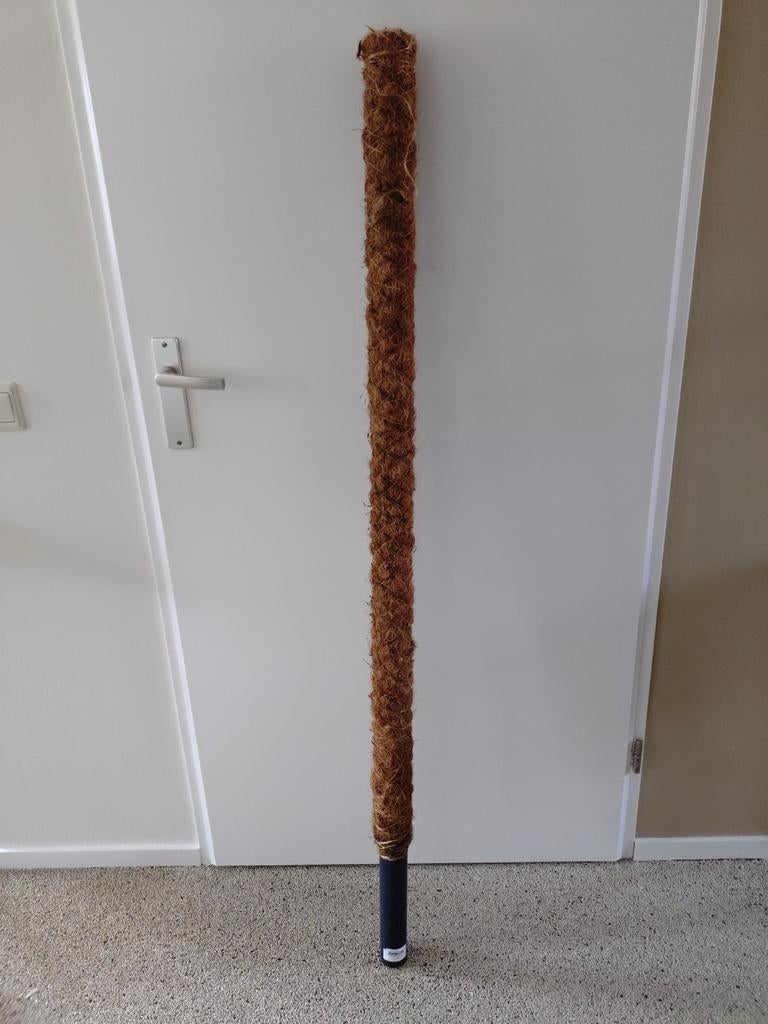 Te koop Intratuin kokos plantensteun 150 x 7 cm, Huis en Inrichting, Kamerplanten, Ophalen, 100 tot 150 cm