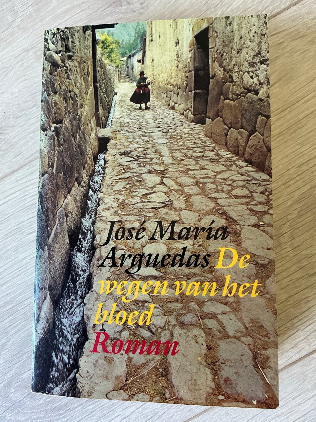 De wegen van het bloed - José María Arguedas (Roman), Boeken, Ophalen of Verzenden, Gelezen, Europa overig