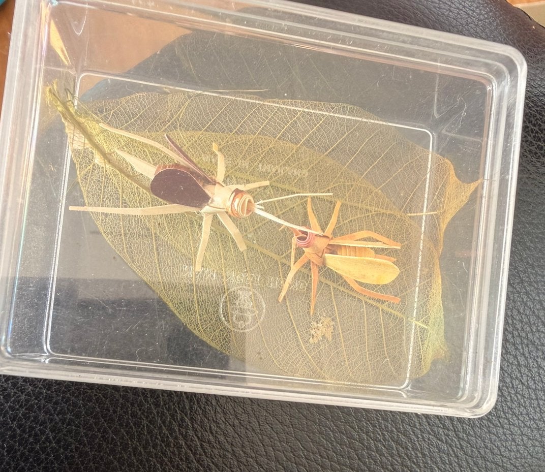 2 insecten gemaakt van soort van hout