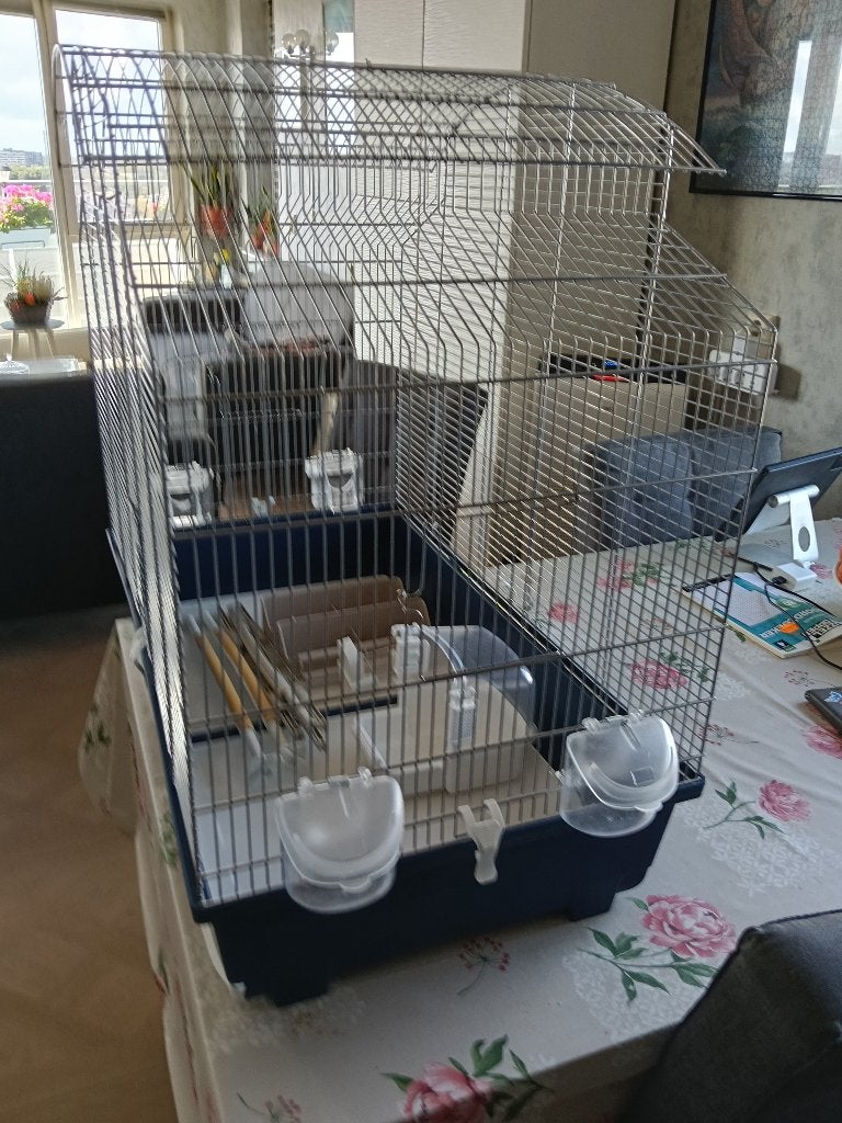 Vogelkooi, Dieren en Toebehoren, Ophalen, Zo goed als nieuw, Metaal, Vogelkooi