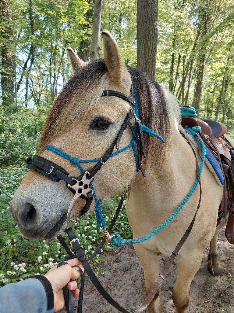 Hackamore hoofdstel bruin full, Dieren en Toebehoren, Ophalen of Verzenden, Zo goed als nieuw, Overige soorten