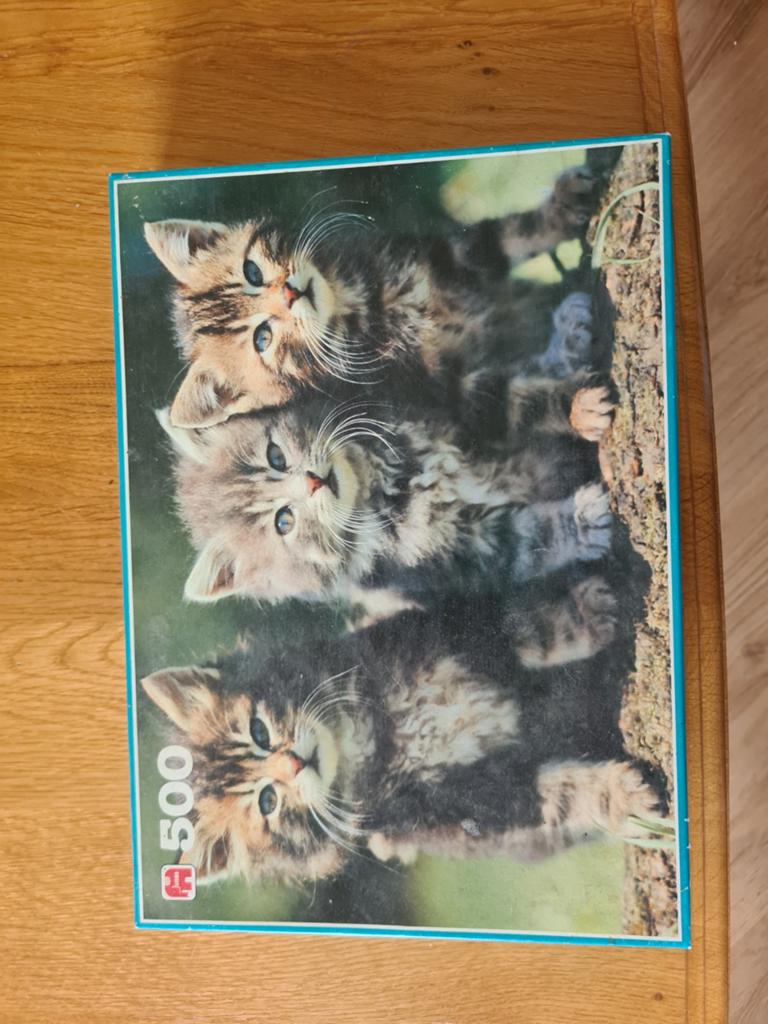 Puzzel kattentrio, Ophalen of Verzenden, 500 t/m 1500 stukjes, Zo goed als nieuw