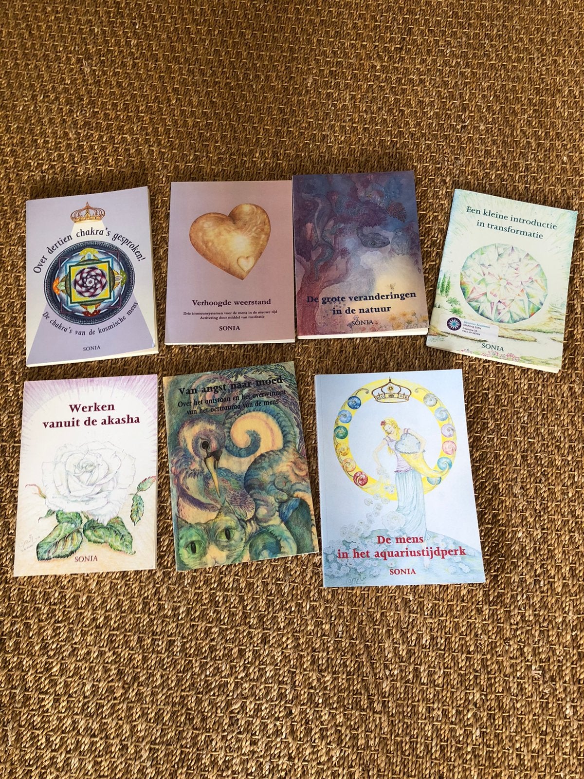 Sonia, boeken en studiemateriaal, Boeken, Esoterie en Spiritualiteit, Zo goed als nieuw, Achtergrond en Informatie, Spiritualiteit algemeen