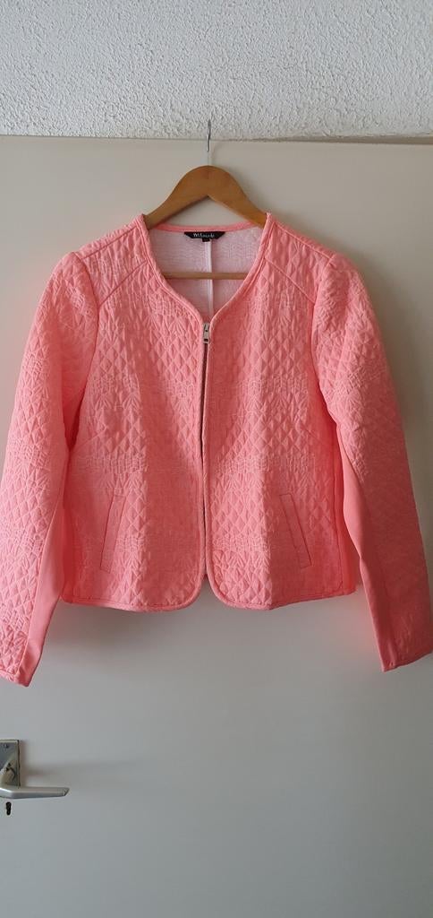 M&S MODE ZALMROZE VEST JASJE MET RITS MAAT 42, Maat 42/44 (L), Nieuw, Ophalen of Verzenden, Roze