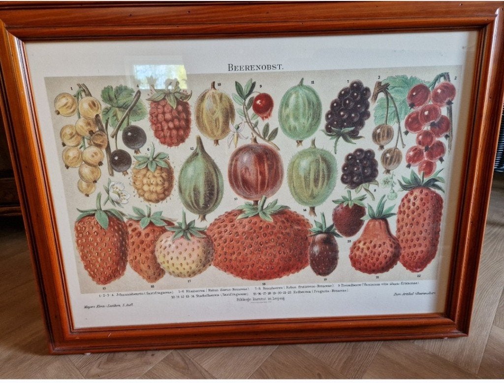 schilderij  reproductie, Antiek en Kunst, Kunst | Schilderijen | Klassiek, Overige stijlen, Stilleven, Print, Ophalen