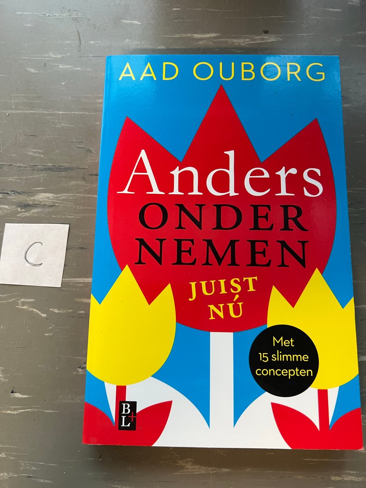 Anders Ondernemen Juist Nu - Aad Ouborg, Boeken, Ophalen of Verzenden, Zo goed als nieuw, Management
