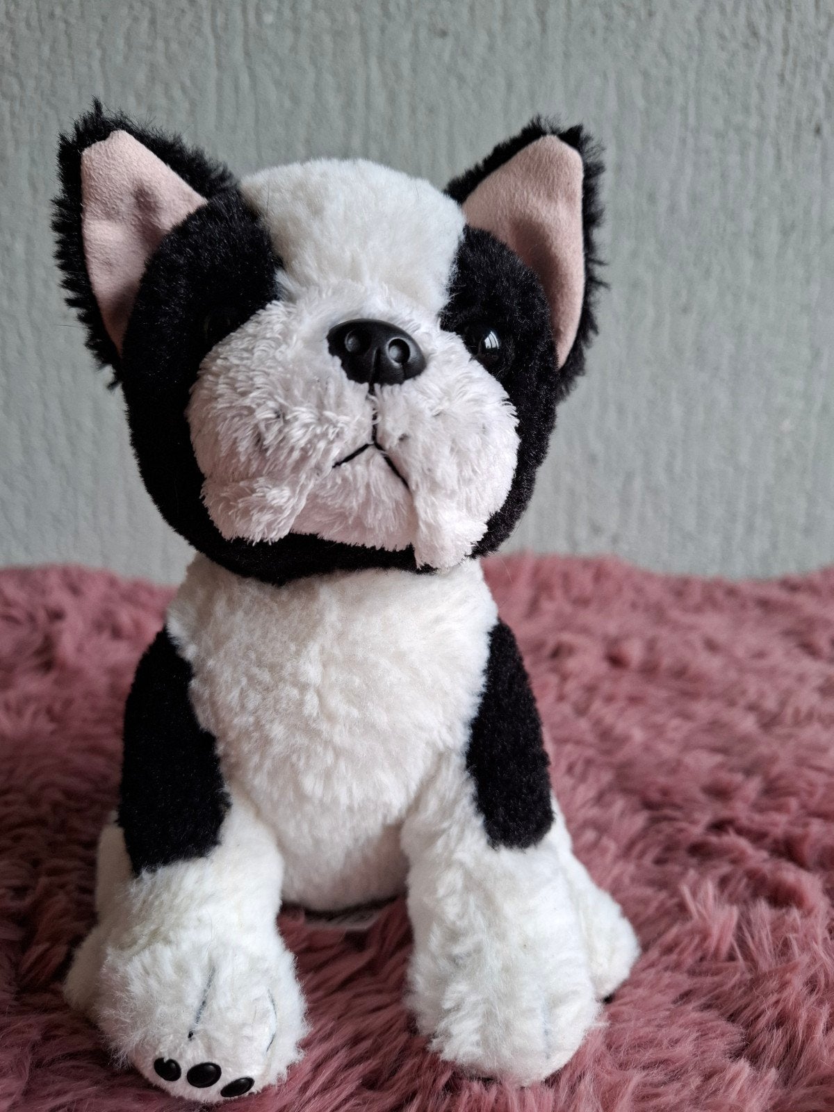 Leuke Boston Terriër knuffel van TOPModel, Overige merken, Zwart, Klein (minder dan 20 cm), Hond
