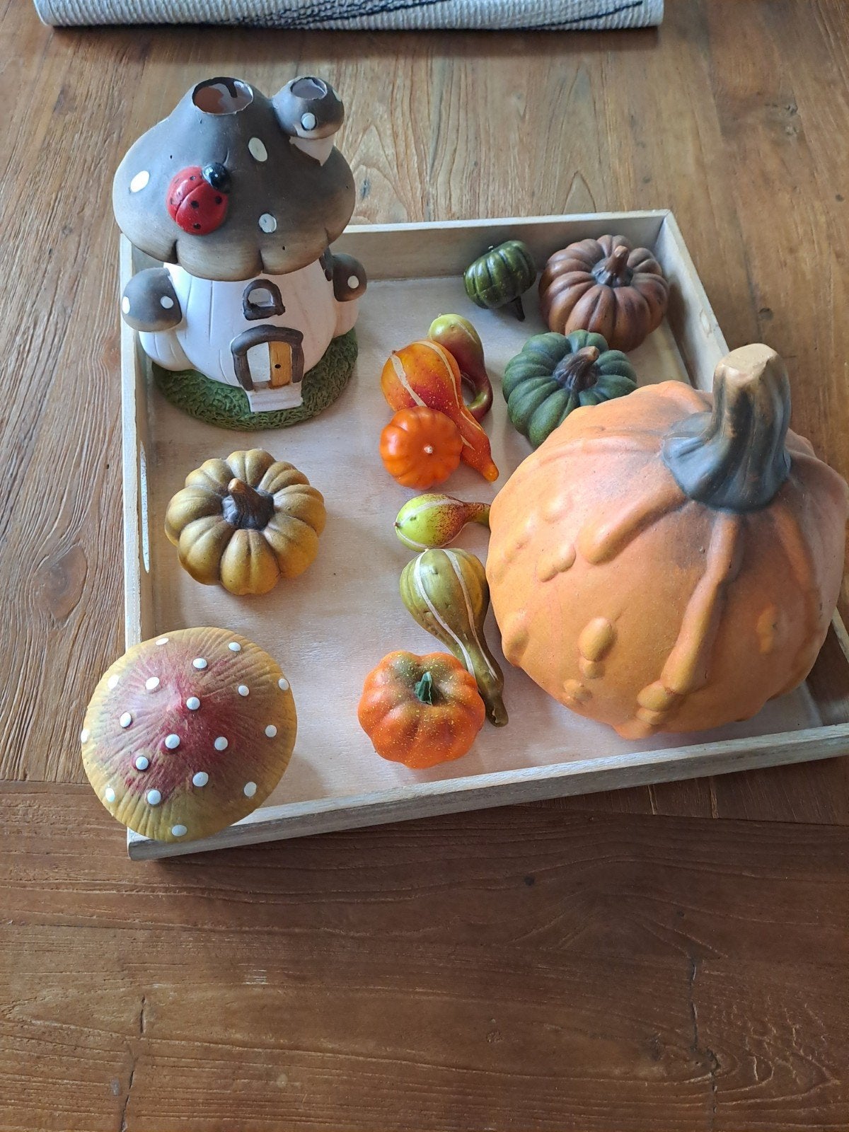 10  foto,s met zgan herfst art, Ophalen of Verzenden, Zo goed als nieuw