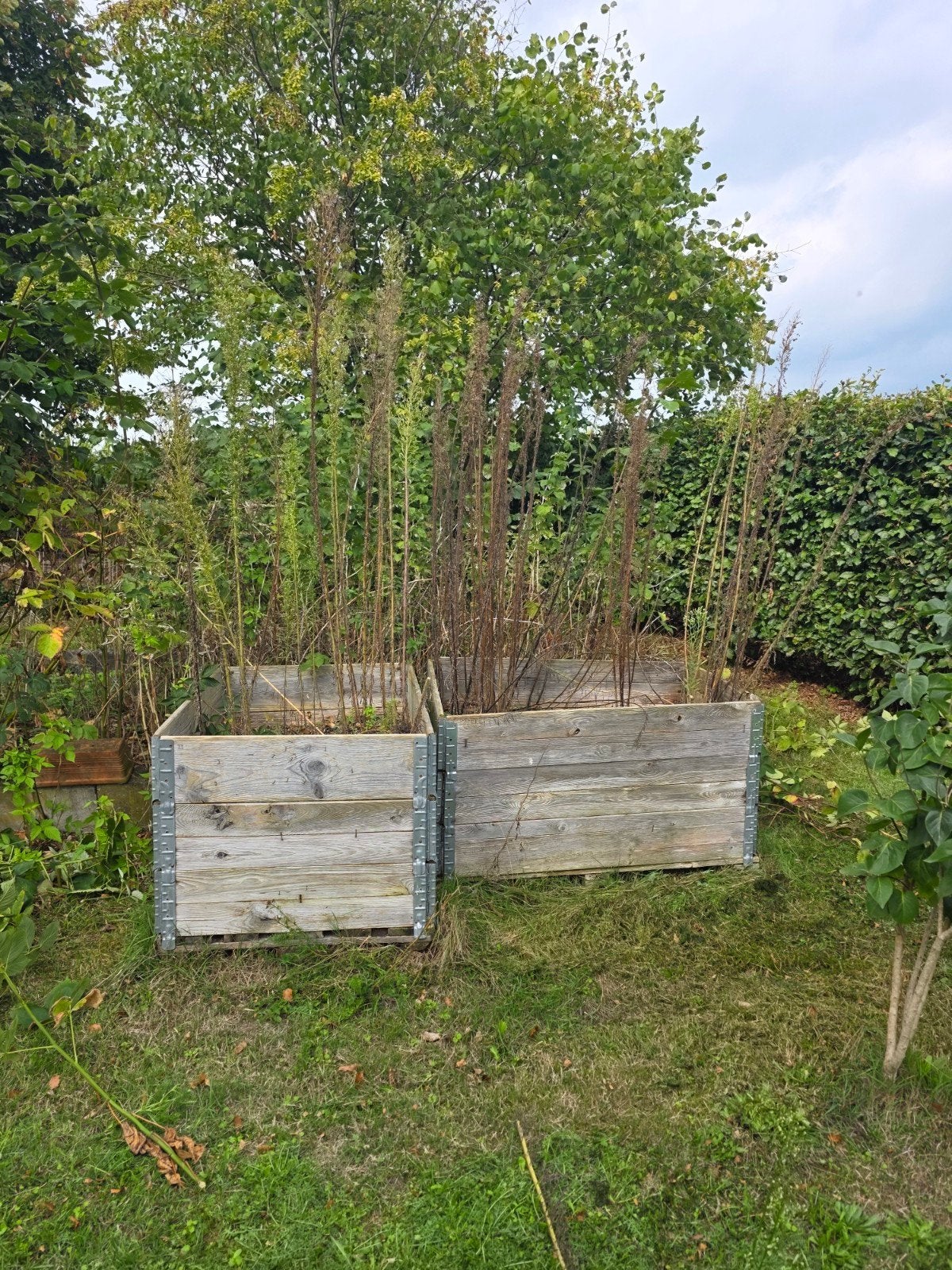 Houten kweekkasten voor planten, Tuin en Terras, Ophalen