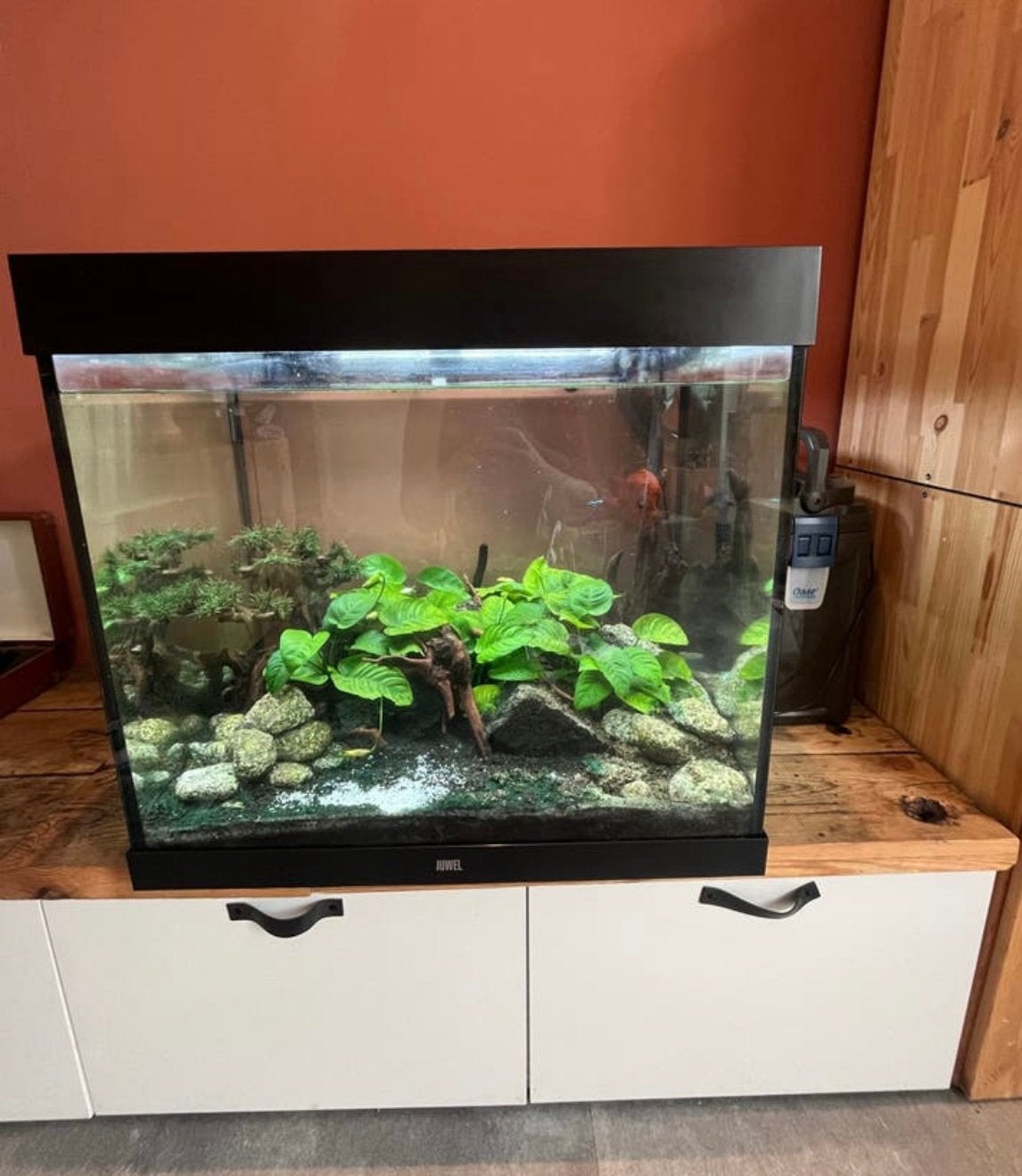 Juwel aquarium Lido 200 met Biomaster thermo 350 pomp, Dieren en Toebehoren, Ophalen, Zo goed als nieuw, Leeg aquarium, Inclusief deksel