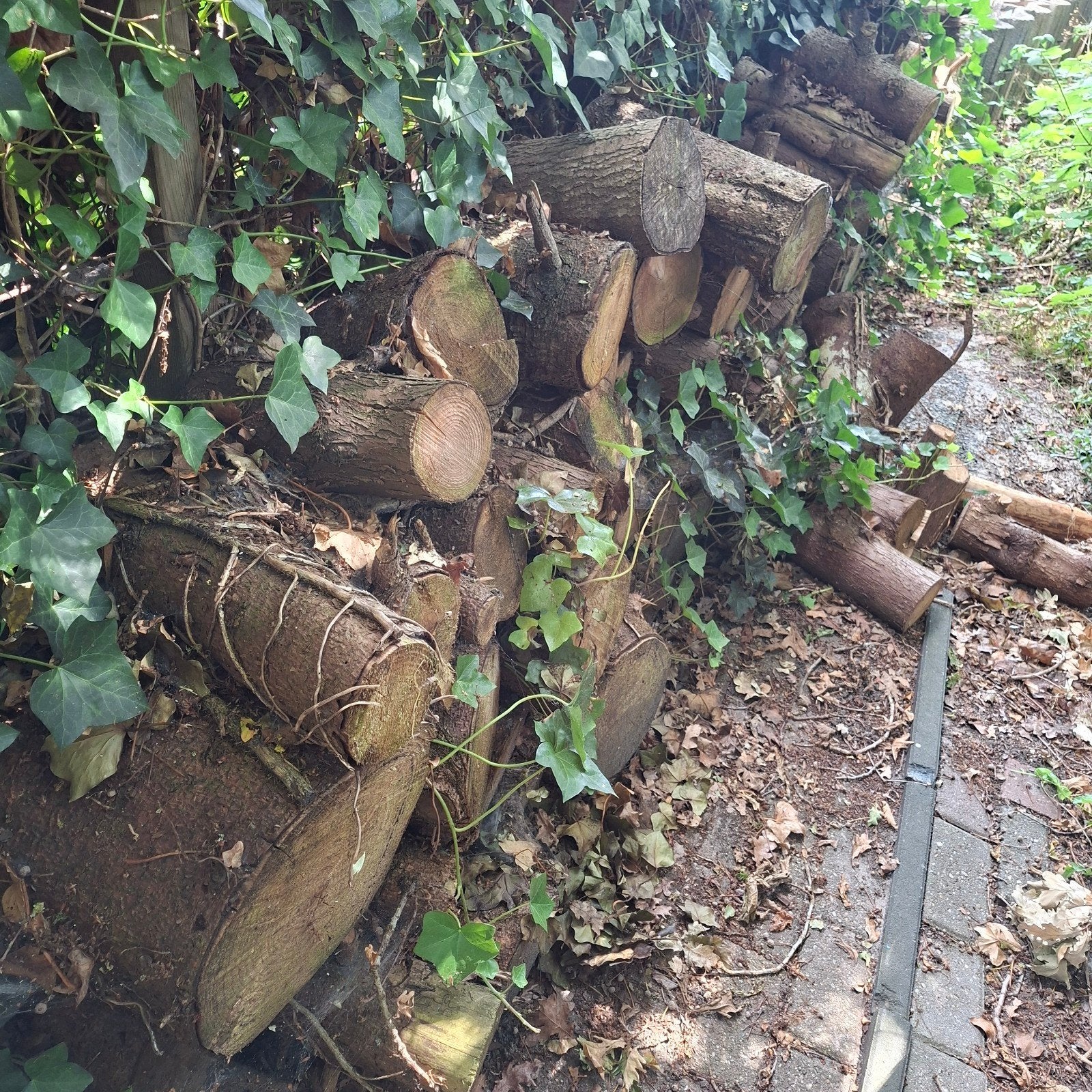 Buitenkachel hout, Tuin en Terras, Haardhout, Minder dan 3 m³, Ophalen, Overige houtsoorten, Stammen